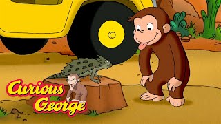 The Desert Is Full of Life 🐵 Curious George 🐵 Kids Cartoon 🐵 Kids Movies [upl. by Ylevol334]