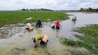 Pescaria de choque com amigos peguei várias piranhas sem luva [upl. by Isoj]