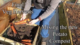 Harvesting the last Veg  Mixing the Potato Growing Mixture [upl. by Pozzy]