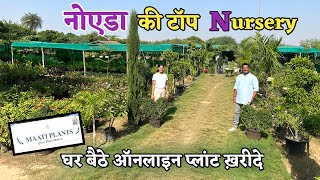 ये हैं सबसे जबरदस्त Noida की नर्सरी MAATI PLANTS Nursery दूर दूर से लोग आते हैं पौधे खरीदने [upl. by Natasha]