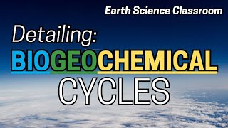 Detailing All The Biogeochemical Cycles [upl. by Nani]