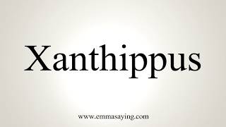 How To Pronounce Xanthippus [upl. by Waldemar]