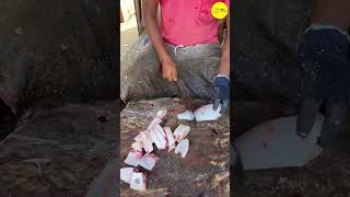 KASIMEDU LEATHER JACKET FISH CUTTING VIDEO kasimeduselvam shorts bigfishcutting youtube [upl. by Eiznekcam917]