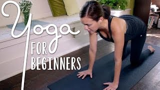 Yoga For Complete Beginners  20 Minute Home Yoga Workout [upl. by Kenta52]