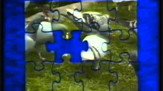 Tik Tak Muziek  Puzzel 1 kleurboek met molentje [upl. by Latham857]