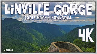 Linville Gorge 4K Wisemans ViewTable Rock Hawksbill Mountain DJI Mavic Air 2 Drone Footage [upl. by Elana]