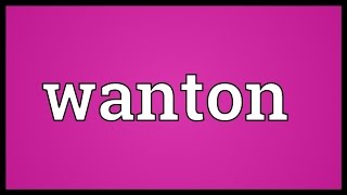 Wanton Meaning [upl. by Yenots]