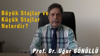 Büyük stajlar ve küçük stajlar nelerdir [upl. by Aleyam570]