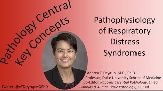 Medical School Pathology Pathophysiology of Respiratory Distress Syndrome [upl. by Astiram106]