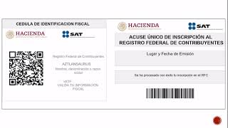 Como tramitar tu RFC CSF y EFIRMA si eres adulto mayor o Persona con Discapacidad [upl. by Parsifal]