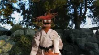 Shellfish Self Defense with Pepe the King Prawn [upl. by Clawson]