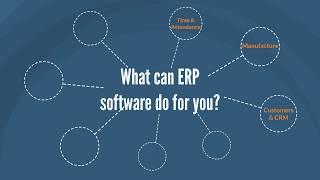 What can an Accentis ERP System do for you [upl. by Elinnet]