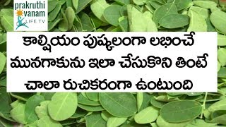 సహజంగా కాల్షియం లభించే మునగాకు కూర  Drumstick Leaves Curry  calcium Rich Food Home made remedy [upl. by Donni]