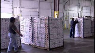 Mango Warehouse Training Video [upl. by Araem26]