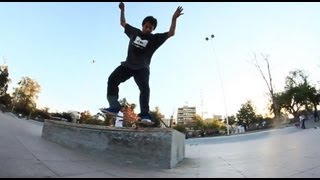 Manuel Rivera  Fungie Skateboards [upl. by Spalla]