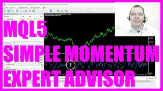 MQL5 Tutorial  Simple Momentum Robot [upl. by Pucida]