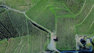 France Drôme Chapelle Tain LHermitage Vignes Drone 4k [upl. by Gunnar]