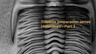 Hollardops trilobite preparation sequence  Part 3 [upl. by Nanaj29]