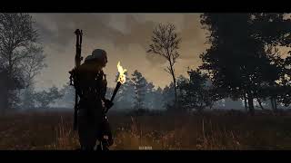 Witcher 3 NextGen Blitz FX MOD  More Fog Mod  RTX 3090Ti [upl. by Dragon]