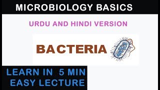 Bacteria Introduction Basic Microbiology  Urdu and Hindi Version [upl. by Noeled]