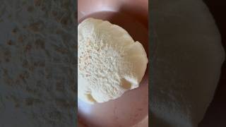 How to make Pita Bread at home breadrecipe pita [upl. by Colombi]