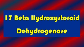 17 Beta Hydroxysteroid Dehydrogenase Deficiency [upl. by Raven770]