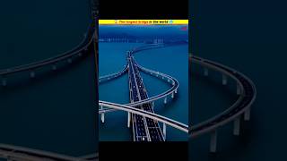 😱 The longest bridge in the world 🥶 shorts MRINDIANHACKER CrazyXYZ [upl. by Rivalee]