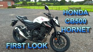 ★ 2024 HONDA CB500 HORNET FIRST LOOK ★ [upl. by Edwyna]