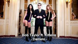 BOB TAYLOR  DAMELO RADIO EDIT [upl. by Eidac]