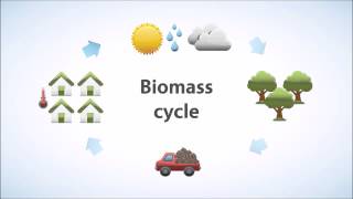 What is Biomass [upl. by Zelig]