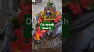 Namami 🌿🌿Shiv Shambhu🌿🌿 short video [upl. by Sudderth]