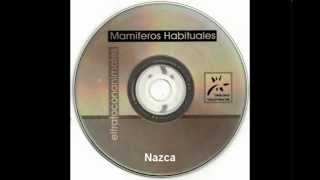 10  Mamíferos Habituales  Nazca [upl. by Haleehs116]