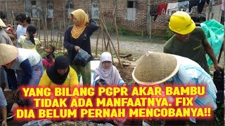 YANG BILANG PGPR AKAR BAMBU TIDAK ADA MANFAAT NYA FIX DIA BELUM PERNA MENCOBANYA‼ [upl. by Naesar132]