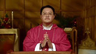 Catholic Mass Today  Daily TV Mass Saturday August 24 2024 [upl. by Osgood]