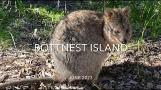 ROTTNEST ISLAND [upl. by Tirma]