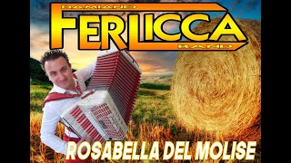 Rosabella Del Molise La Molisana Damiano Ferlicca Fisarmonica Accordion [upl. by Cross925]