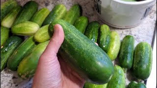 Perfectly Crunchy Homemade Dill Pickles How to Make Pickles at Home So Easy No Pickle Crisp [upl. by Duaner]