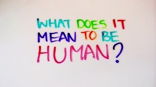 What Does It Mean To Be Human [upl. by Olenolin]