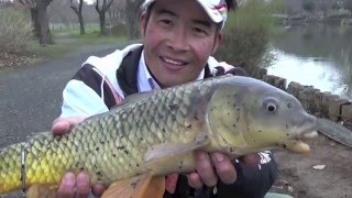 MARUKYU CARP FLOAT FISHING 「GURUTEN3」 English [upl. by Sire]