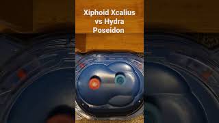 Xiphoid Xcalius X8 vs Hydra Poseidon P8 Beyblade Burst Quadstrike [upl. by Telrahc983]