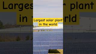 Largest solar plant in the world facts shorts shorts short funfacts trendingviralvideo video [upl. by Randa564]