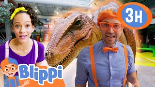 Dinosaur and Zoo Fun More  Blippi and Meekah Best Friend Adventures  Educational Videos for Kids [upl. by Enaelem]