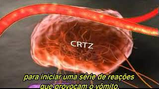 Mecanismo de ação do Citrato de Maropitan Cerenia Mechanism of action of Maropitan Citrate Cerenia [upl. by Esinehc]