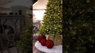 Christmas tree setup 🎄 christmas merrychristmas alliwantforchristmasisyou christmastree [upl. by Dani]