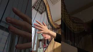 Introduction et Allegro Harp Cadenza [upl. by Ymmot522]