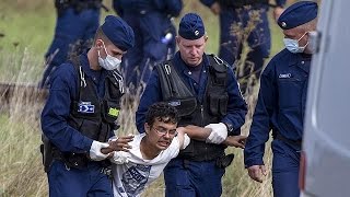 Ugly scenes at Hungarys Serbian border as migrants clash with police [upl. by Egor]