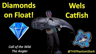 Wels Catfish Diamond on Float Guide  Call of the Wild The Angler [upl. by Julina128]