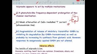 Valproic acid  Sodium valproate Mechanism of action  Anti epileptic drug [upl. by Huber]