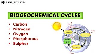 Biogeochemical Cycles  Carbon Nitrogen Oxygen Sulphur  Unit 2  Environmental Chemistry [upl. by Nortna]