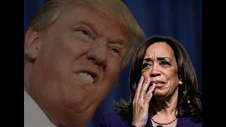 4 Reasons Why Harris Lost to Donald Trump [upl. by Jud825]